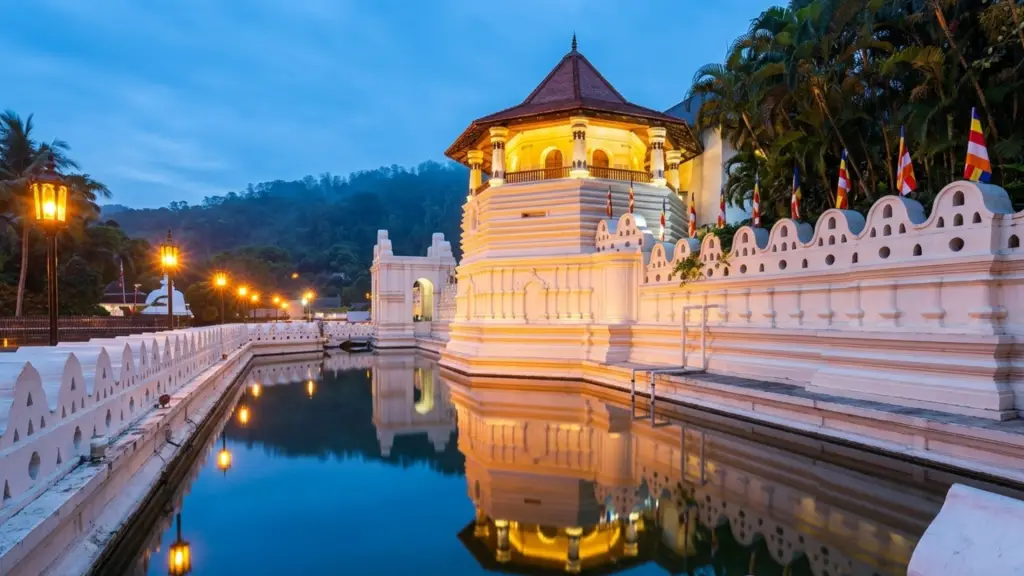 Tooth Temple