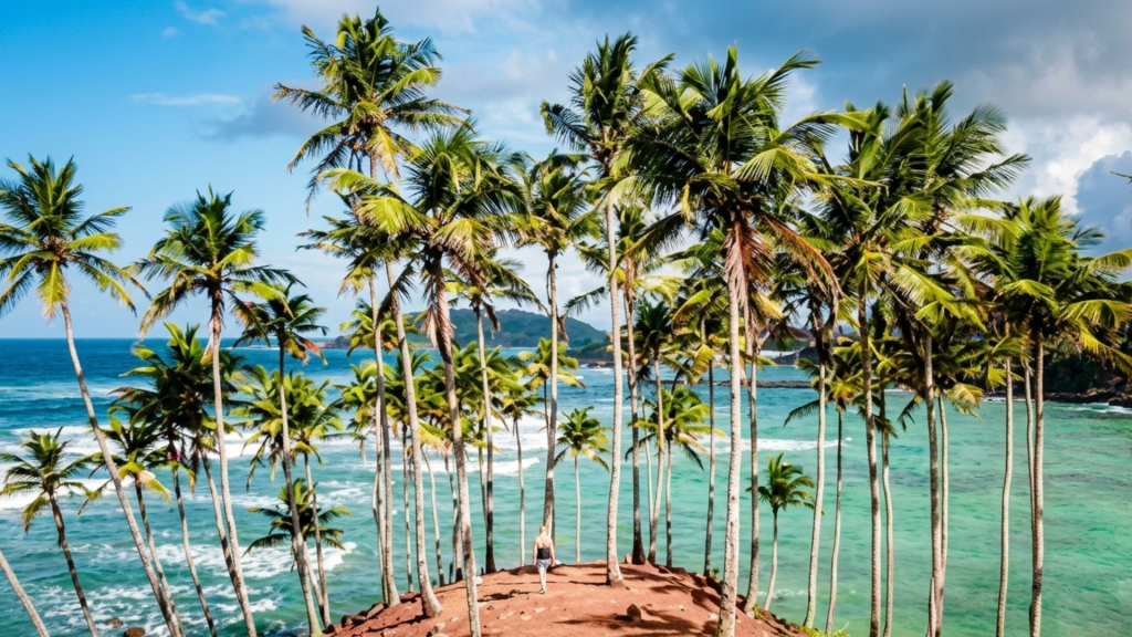 Mirissa beach Sri Lanka sunset