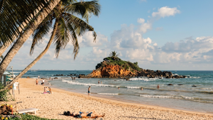 Mirissa beach Sri Lanka sunset